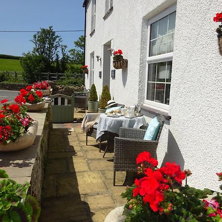 Yr Hen Felin - The Old Mill B&B Morfa Nefyn Exterior foto