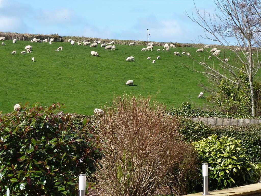 Yr Hen Felin - The Old Mill B&B Morfa Nefyn Exterior foto