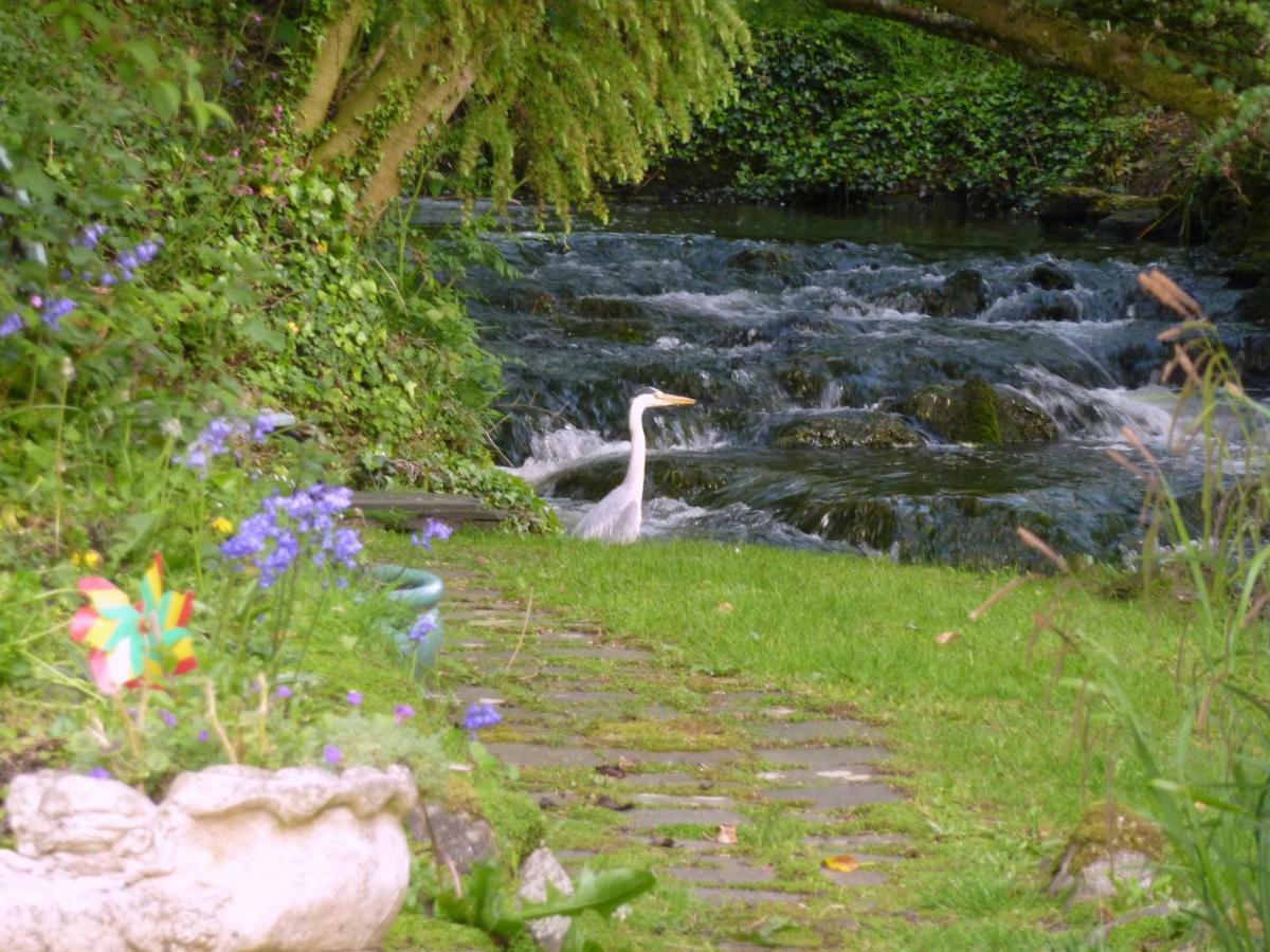 Yr Hen Felin - The Old Mill B&B Morfa Nefyn Exterior foto